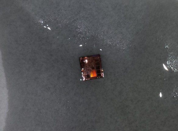 20131205_134650_cropped